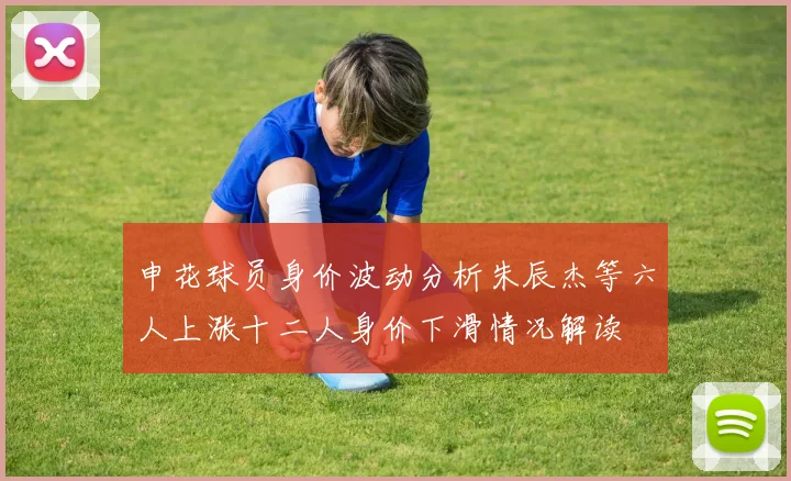 申花球员身价波动分析朱辰杰等六人上涨十二人身价下滑情况解读