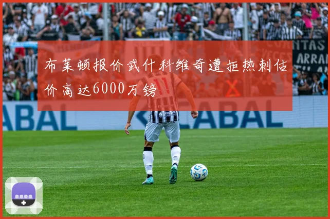 布莱顿报价武什科维奇遭拒热刺估价高达6000万镑